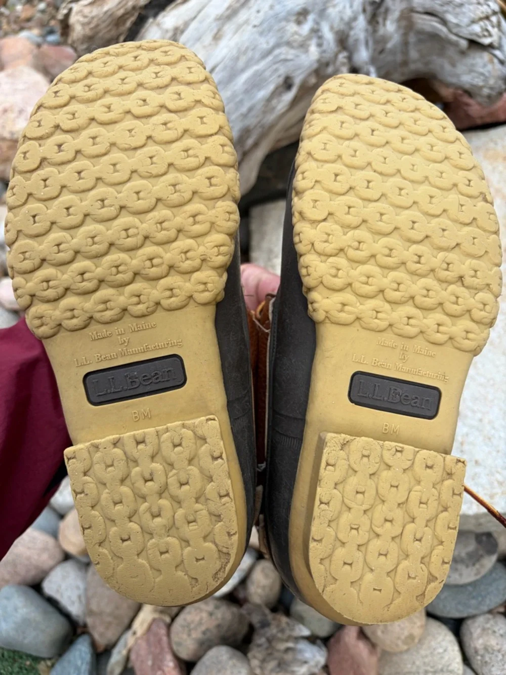 L.L. Bean bean classic
